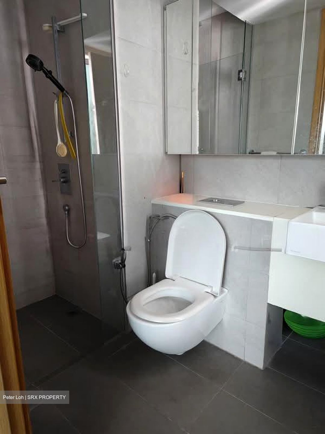 Eight Riversuites (D12), Condominium #536855051